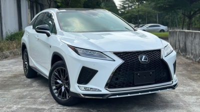 Lexus RX300 F Sport Best Recon Car for Import Malaysia